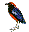garnet.gif (3374 bytes)