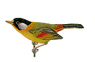 bird1.gif (3782 bytes)