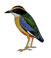 bird2.gif (2465 bytes)