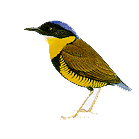 gurney's.gif (5572 bytes)