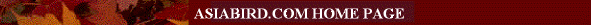 img0.gif (6669 bytes)