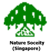 nsslogo5.gif (6862 bytes)