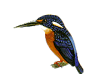 test1.gif (4491 bytes)